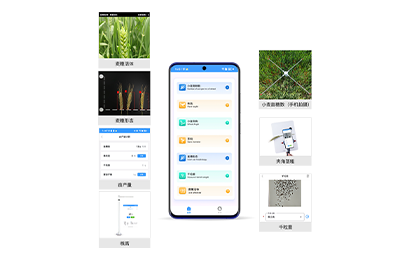 苏州市小麦表型检测仪IN-XM04