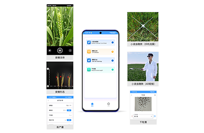 苏州市小麦亩穗数分析仪IN-XM02